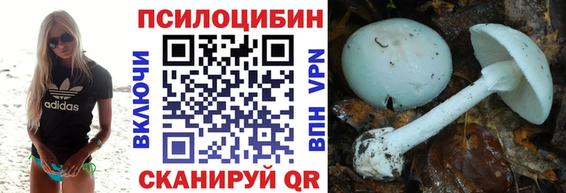 Купить закладки  Кстово  Псилоцибиновые грибы мухоморы 